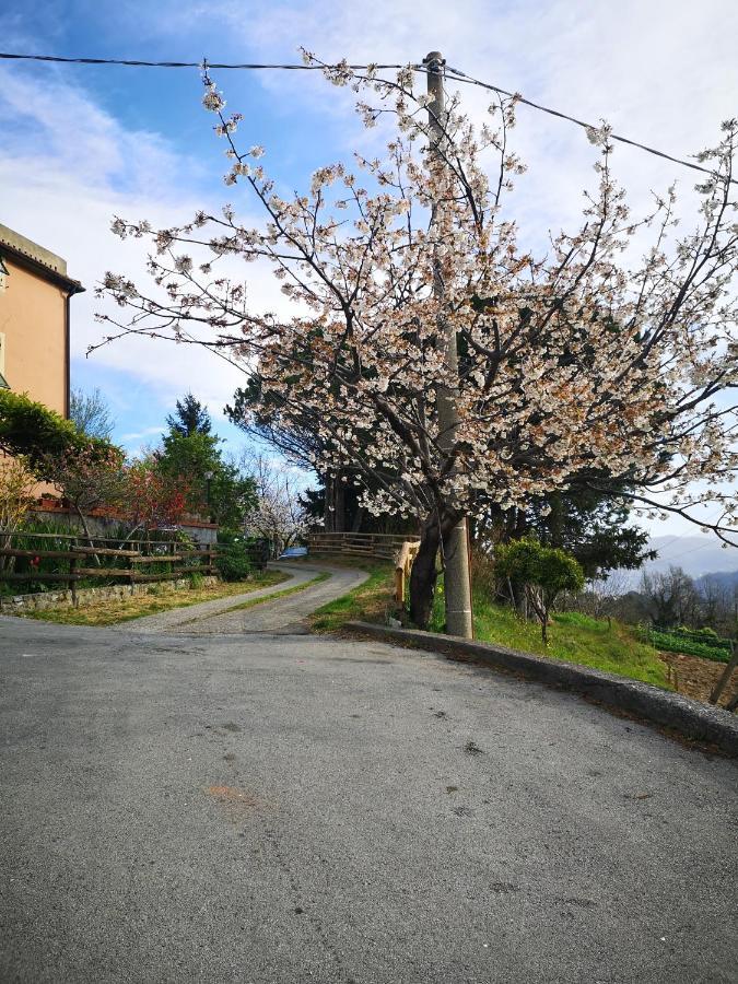 B&B Genova Country Fegino Buitenkant foto